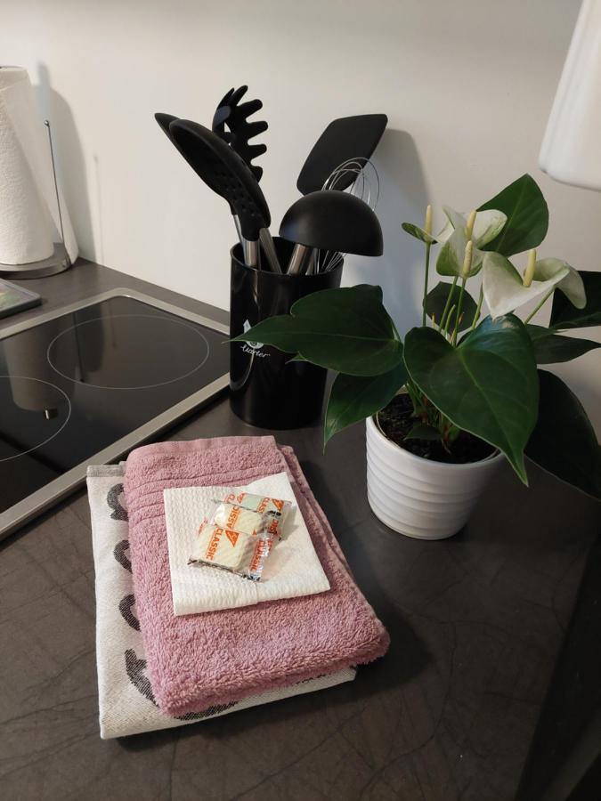 Helles Modern Eingerichtetes Apartment Halle  Buitenkant foto